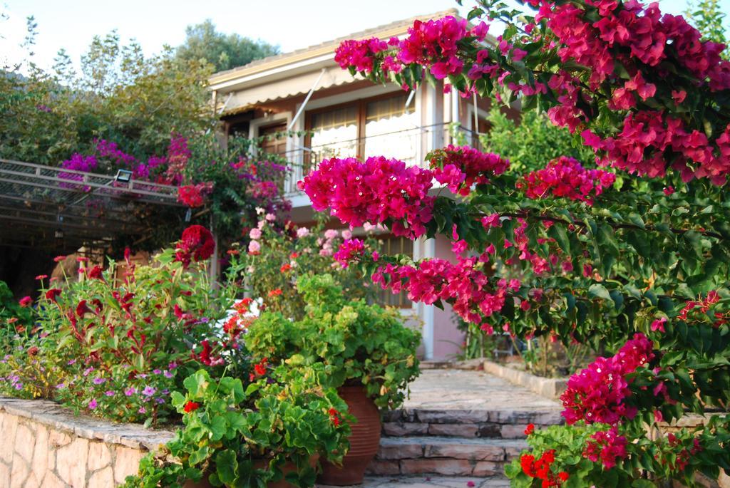 Villa Niki Plataria Ngoại thất bức ảnh
